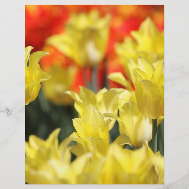 Falling Floral Summer Glow (Vorderseite)