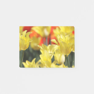 Falling Floral Summer Glow Post-it Klebezettel