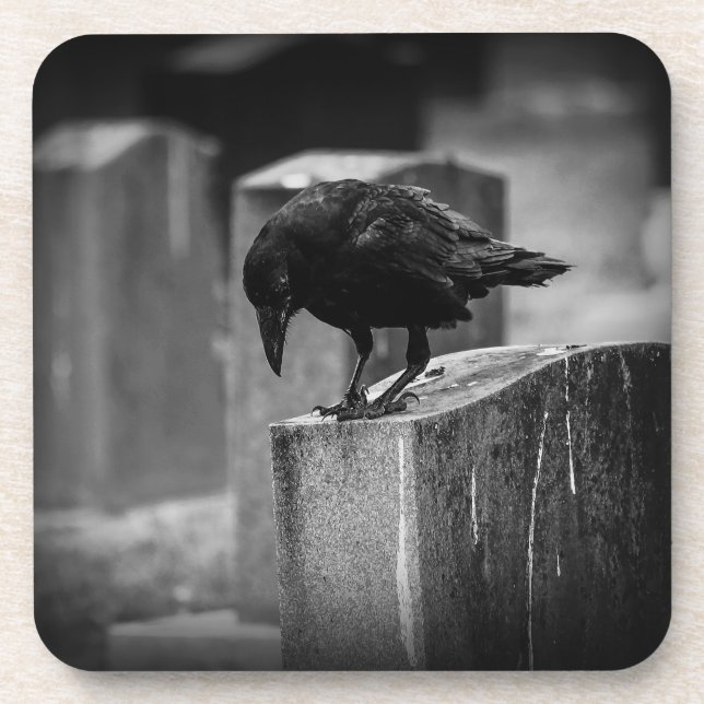 Falling Friedhof Crow Getränkeuntersetzer (Vorderseite)