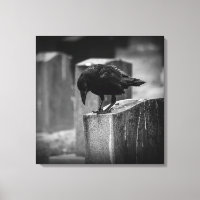 Falling Friedhof Crow