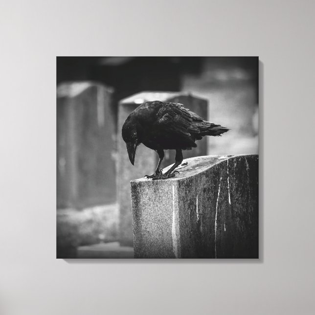 Falling Friedhof Crow Leinwanddruck (Vorderseite)