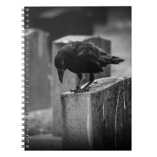 Falling Friedhof Crow Notizblock