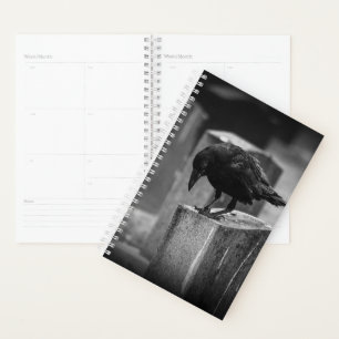 Falling Friedhof Crow Planer