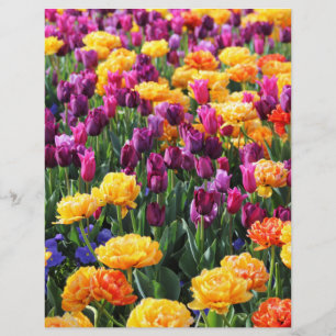 Falling Sunset Floral River