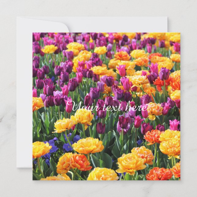 Falling Sunset Floral River (Vorderseite)