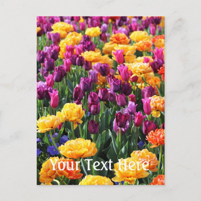 Falling Sunset Floral River Postkarte (Vorderseite)