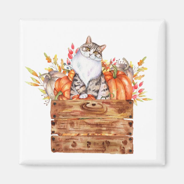 Fallkatze und Kürbis in Kiste Magnet (Vorne)
