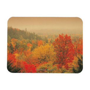 Falllandschaft, New Hampshire, USA Magnet