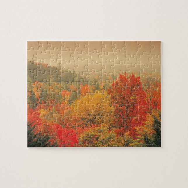 Falllandschaft, New Hampshire, USA Puzzle (Horizontal)
