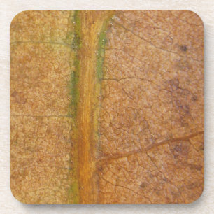 Fallleaf 11 getränkeuntersetzer