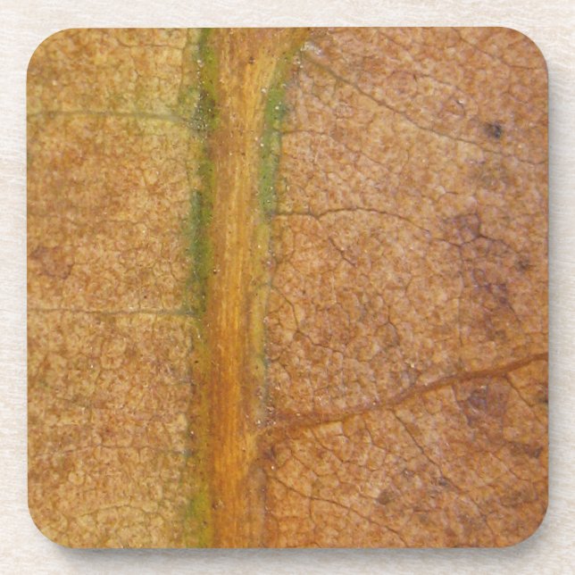 Fallleaf 11 getränkeuntersetzer (Vorderseite)