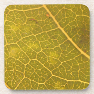 Fallleaf 13A Getränkeuntersetzer