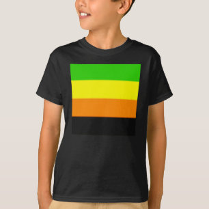 Fallln-Aromantische Flagge T-Shirt