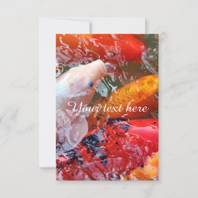 Falln Ansammlung Koi (Vorderseite)