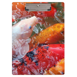 Falln Ansammlung Koi Klemmbrett