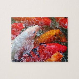 Falln Ansammlung Koi Puzzle