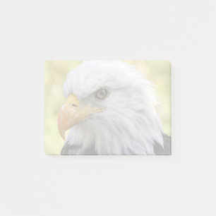 Falln Bald Eagle Liberty Post-it Klebezettel