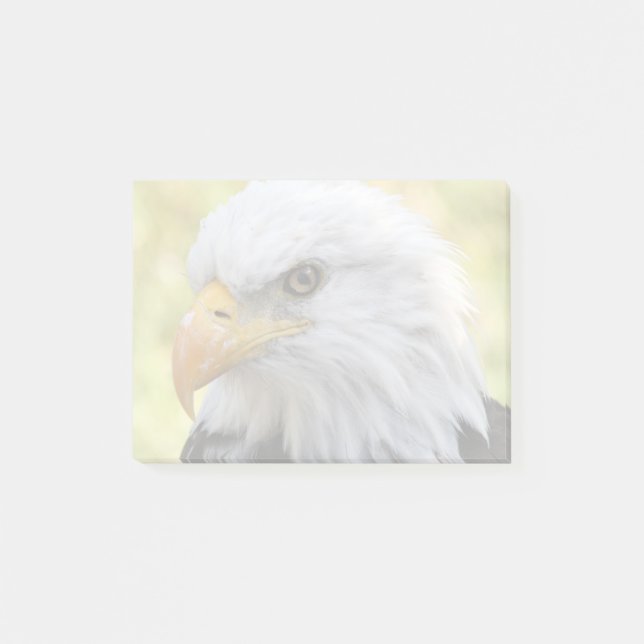 Falln Bald Eagle Liberty Post-it Klebezettel (Vorderseite)