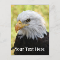 Falln Bald Eagle Liberty