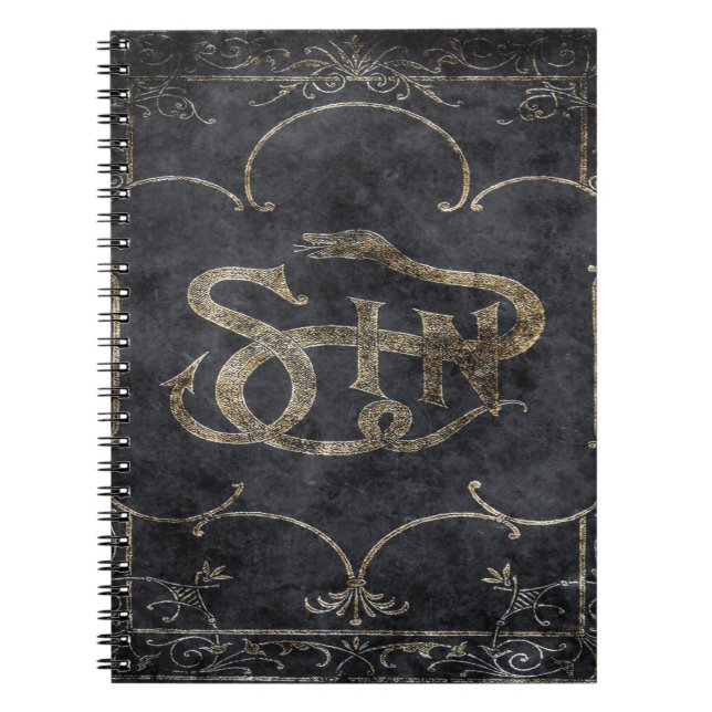 Falln Buch Sin (Vorderseite)