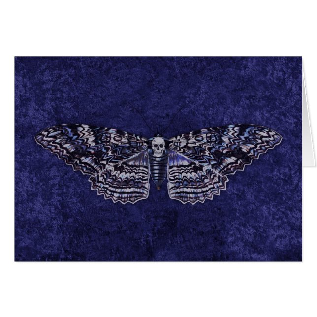Falln Deathshead Moth (Vorderseite (Horizontal))