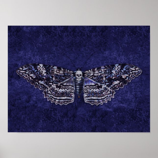 Falln Deathshead Moth Poster (Vorne)