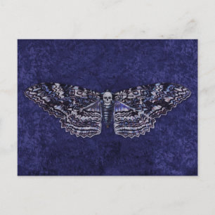 Falln Deathshead Moth Postkarte