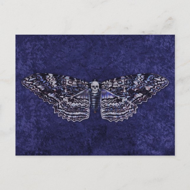 Falln Deathshead Moth Postkarte (Vorderseite)