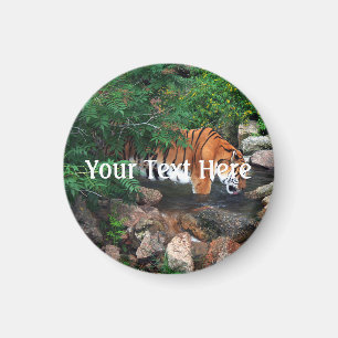 Falln Drink Tiger Magnet