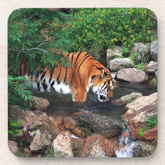 Falln Drink Tiger Untersetzer (Vorderseite)
