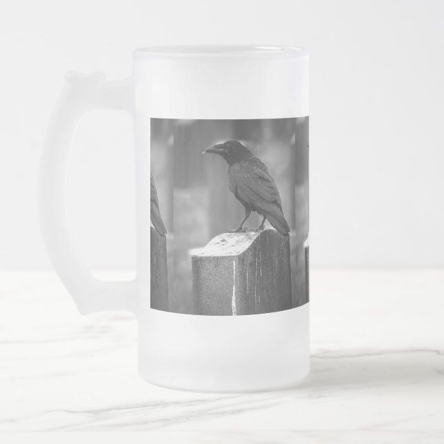 Falln fand eine Feder Mattglas Bierglas (Links)
