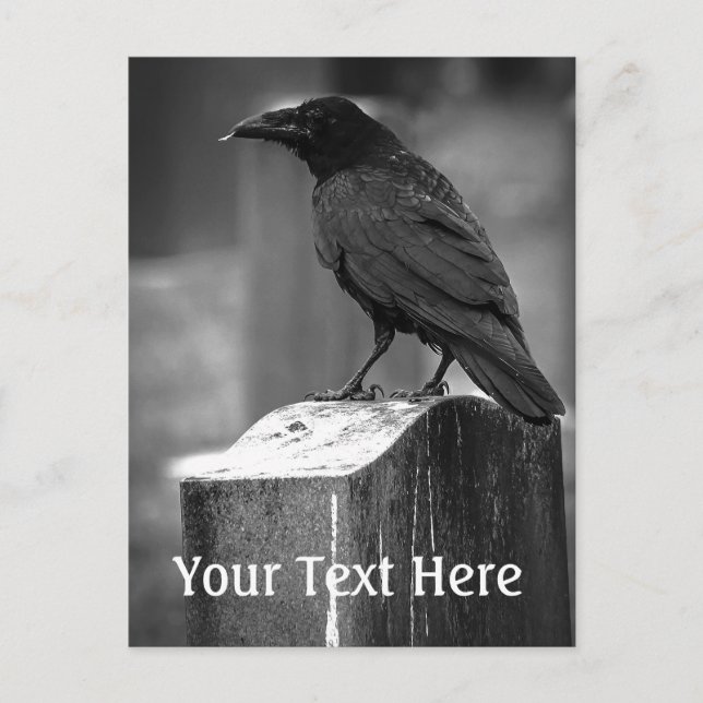 Falln fand eine Feder Postkarte (Vorderseite)