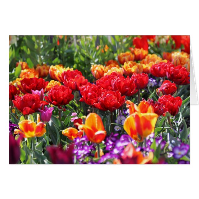 Falln Floral Crimson Waves (Vorderseite (Horizontal))