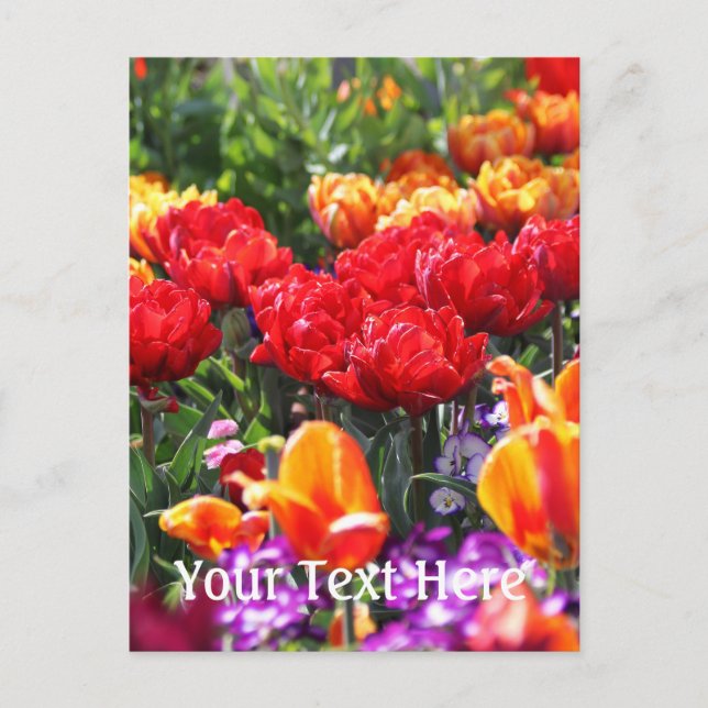 Falln Floral Crimson Waves Postkarte (Vorderseite)