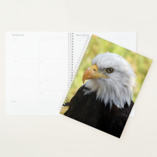 Falln Liberty Planer