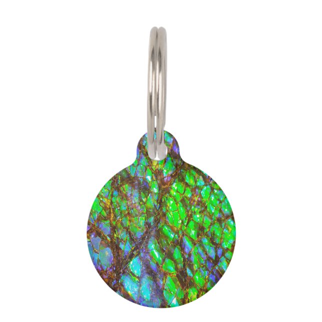 Falln Pfau Ammolite Haustiermarke (Vorderseite)