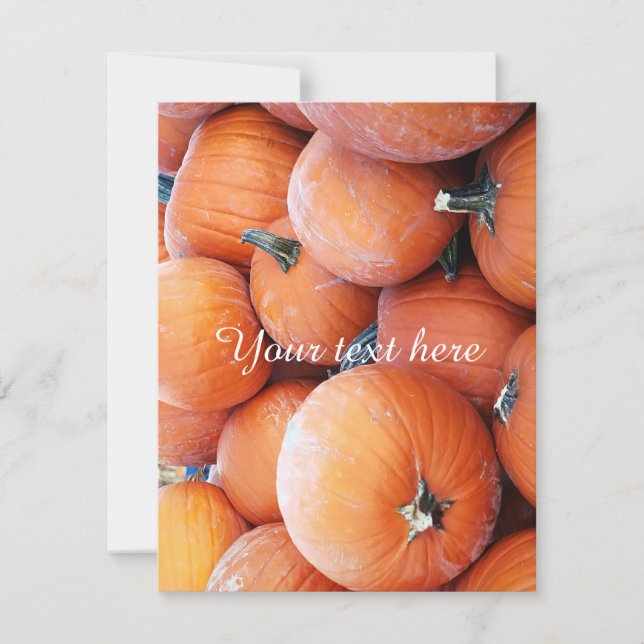 Falln Pumpkin Pile (Vorderseite)