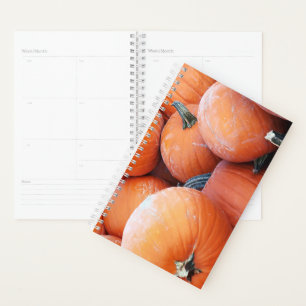 Falln Pumpkin Pile Planer