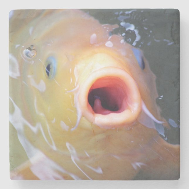 Falln Singing Ghost Koi Steinuntersetzer (Vorderseite)