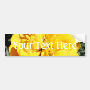 Falln Sunshine Autoaufkleber