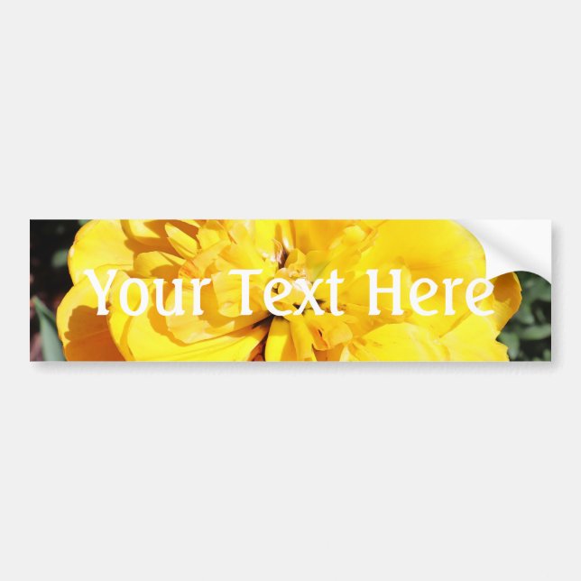 Falln Sunshine Autoaufkleber (Vorne)