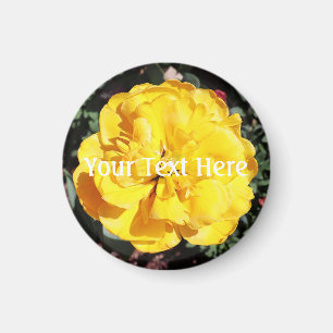 Falln Sunshine Magnet