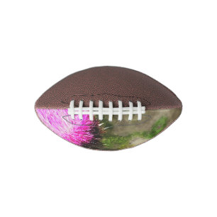 Falln-Thistle-Magie Football