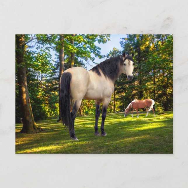 "Fallon" Postkarte (Vorderseite)