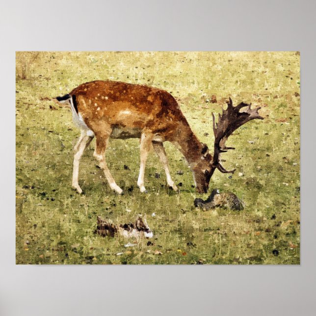 FALLOW DEIN POSTER (Vorne)