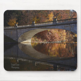 Fallreflexe im Vanderbilt-Anwesen Mousepad