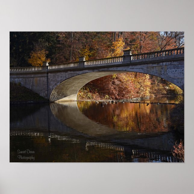 Fallreflexe im Vanderbilt-Anwesen Poster (Vorne)