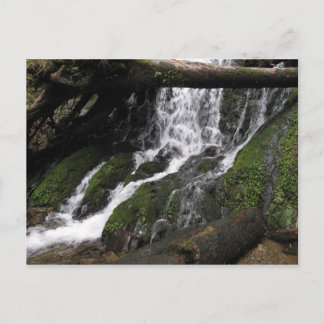 Falls in Redwood Staat Park Postkarte
