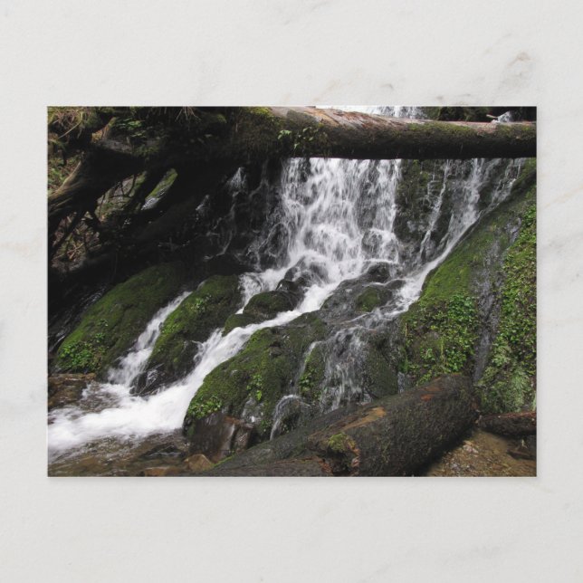 Falls in Redwood Staat Park Postkarte (Vorderseite)