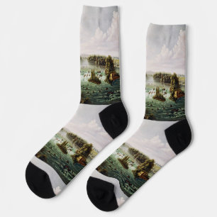 Falls of Saint Anthony von Henry Lewis Socken